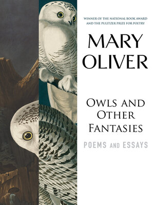 cover image of Owls and Other Fantasies